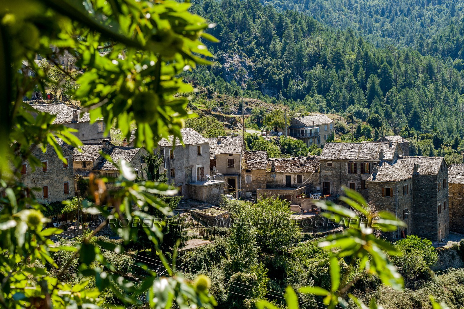Morosaglia